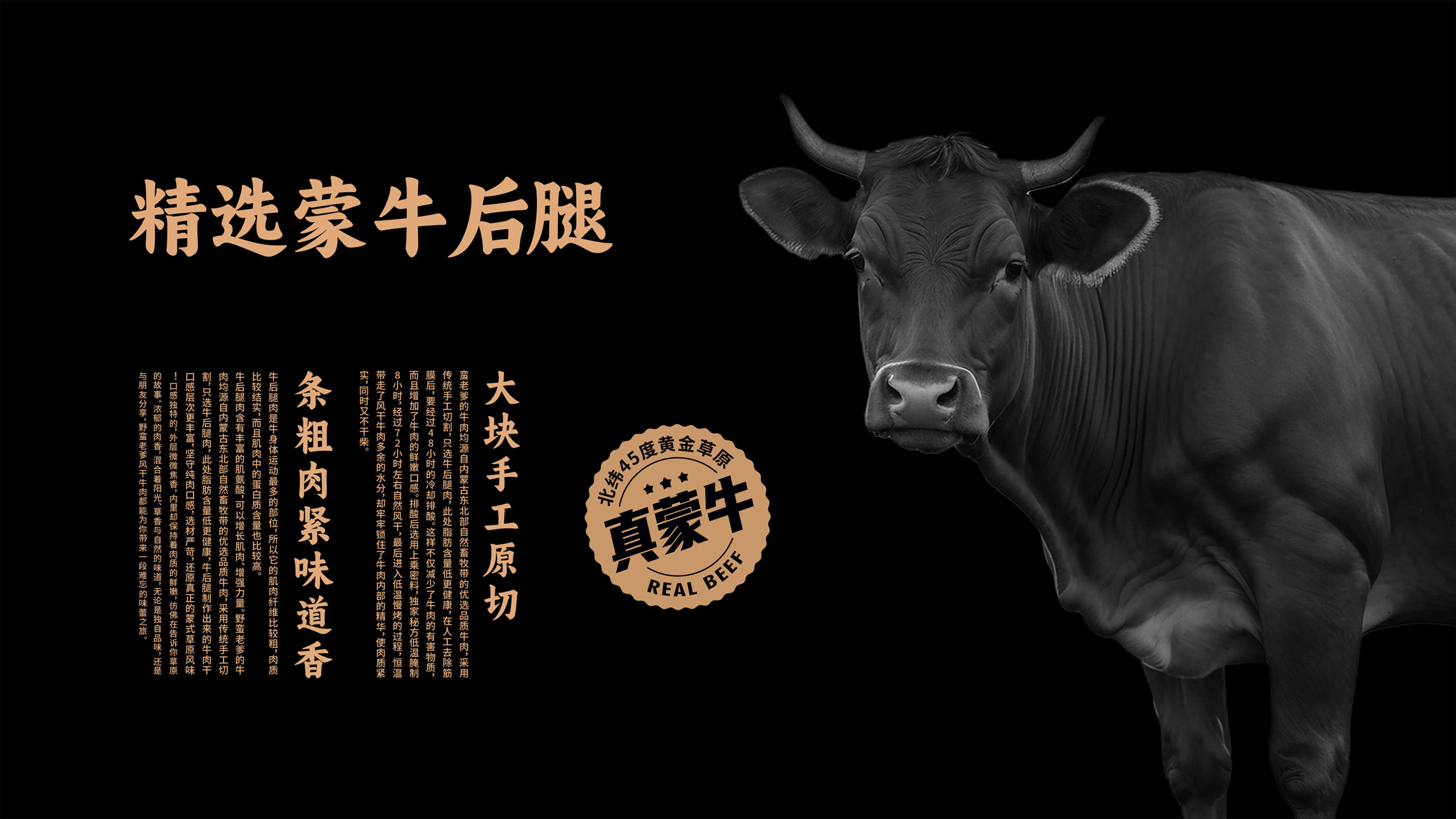 風干牛肉品牌包裝設(shè)計